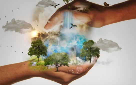 D. Natur- und Tierschutz